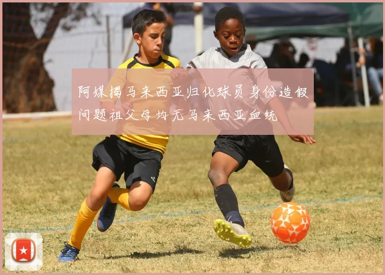 阿媒揭马来西亚归化球员身份造假问题祖父母均无马来西亚血统