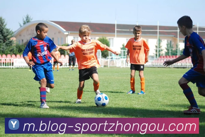 多媒体互动体验